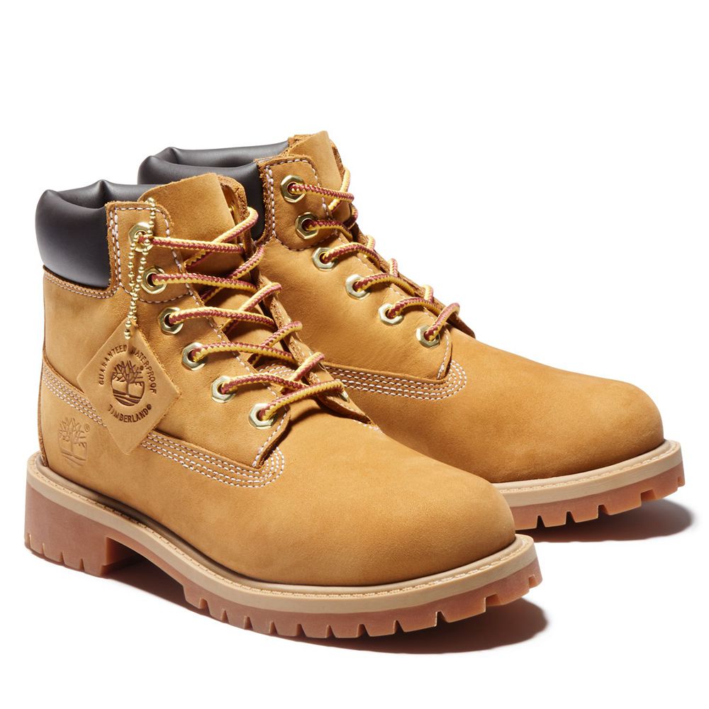 Botas 6-Inch Timberland Argentina Niños - 6-Inch Youth Premium Waterproof - Marrones - HWEAKO-705